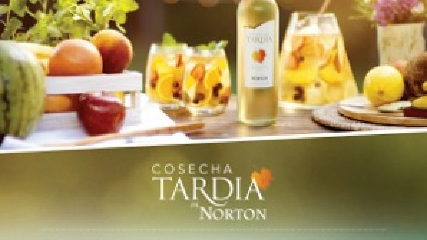 COSECHA TARD A PRESENTA SUS REFRESCANTES TRAGOS PARA COMPARTIR ENTRE AMIGOS