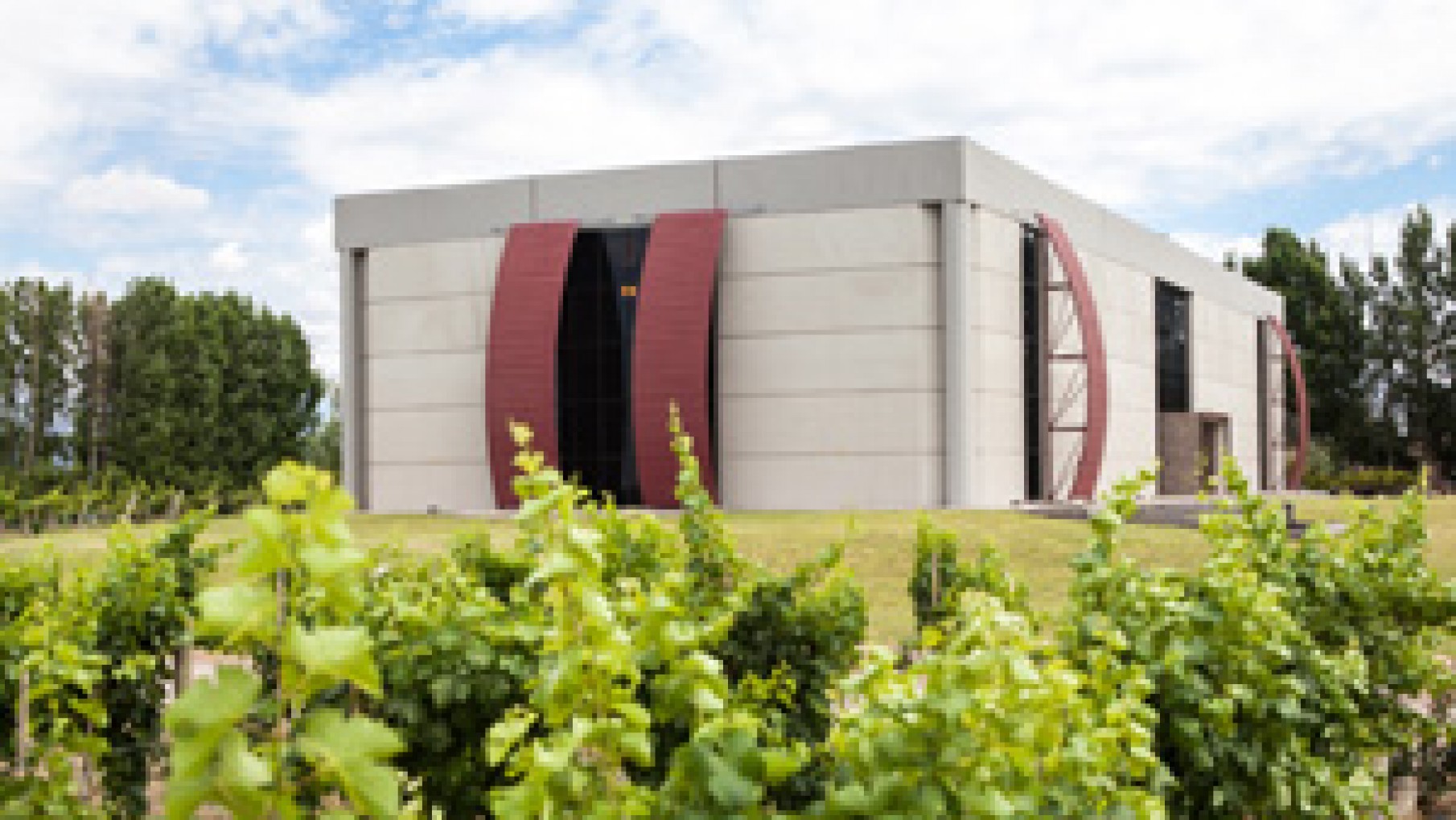 NUEVOS RUMBOS PARA BODEGA FINCA DEL ENLACE