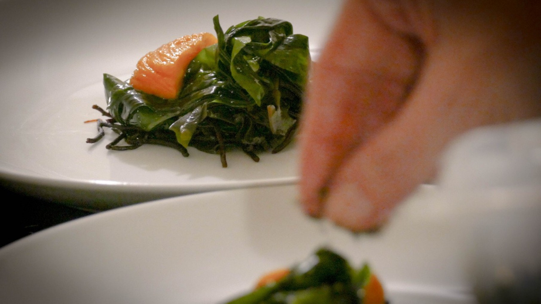 LLEGA MILK SUPER BRUNCH