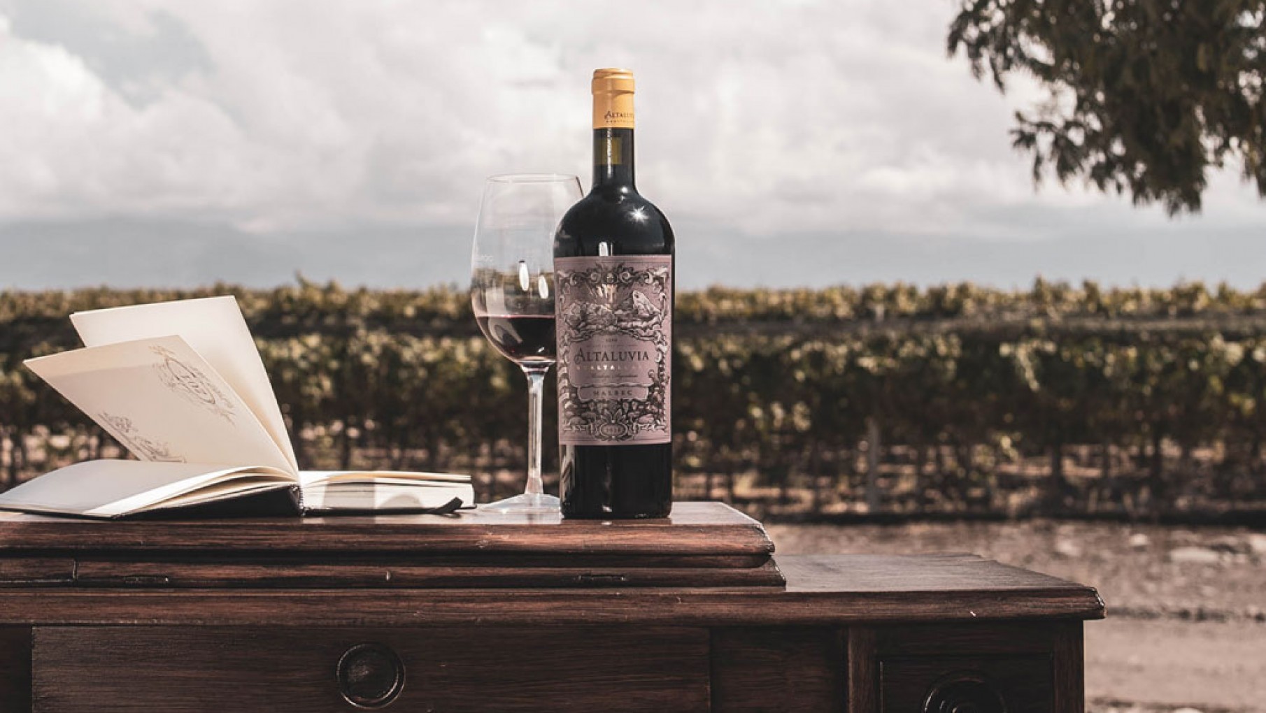 NUEVOS VINOS ALTALUVIA TRIBUTO A GUALTALLARY