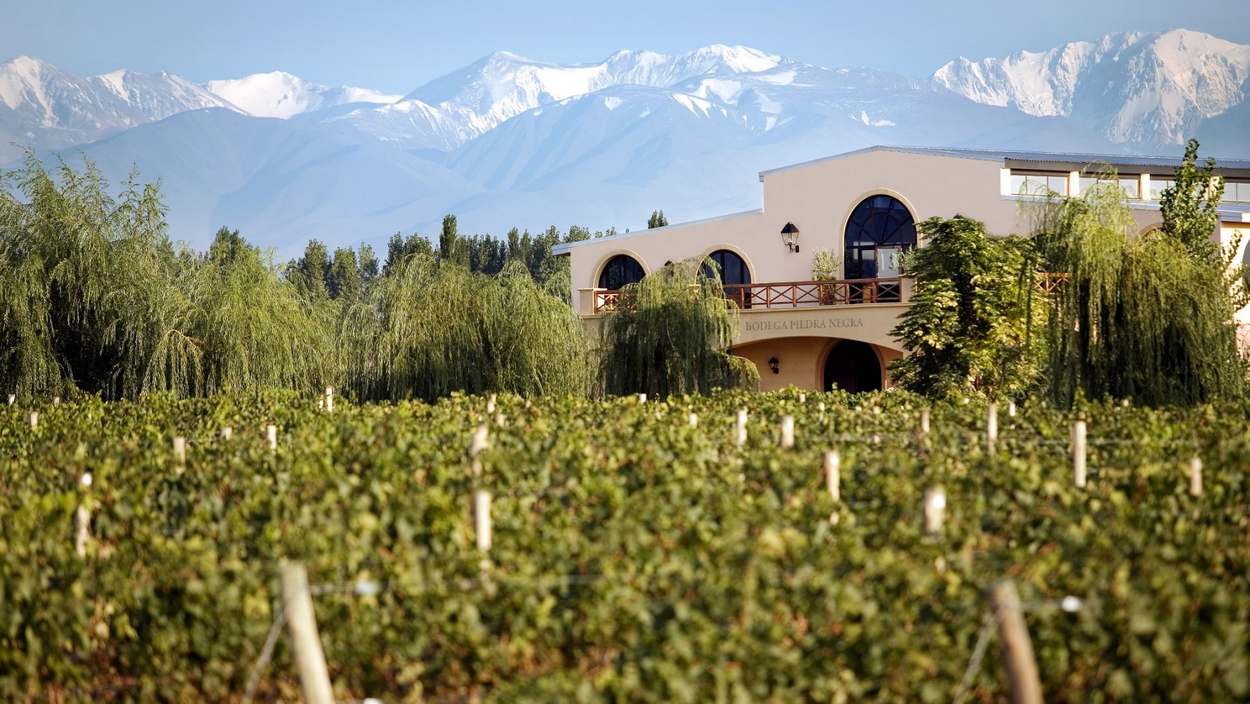 Piedra Negra, la bodega de François Lurton, pionera en Los Chacayes, nos habla de la evolución de su vino ícono.