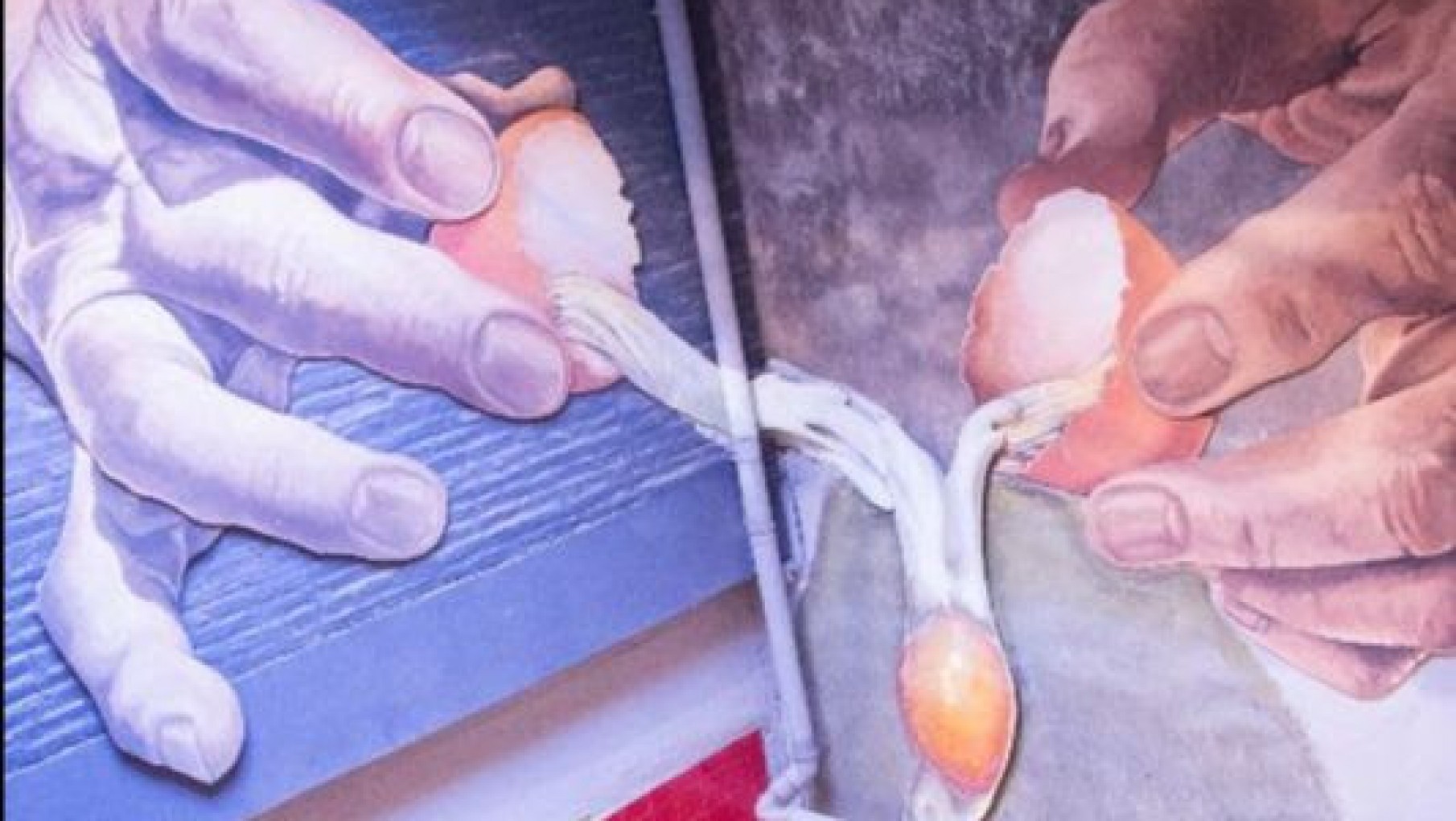 Estos son los nuevos horarios de MERCAT VILLA CRESPO