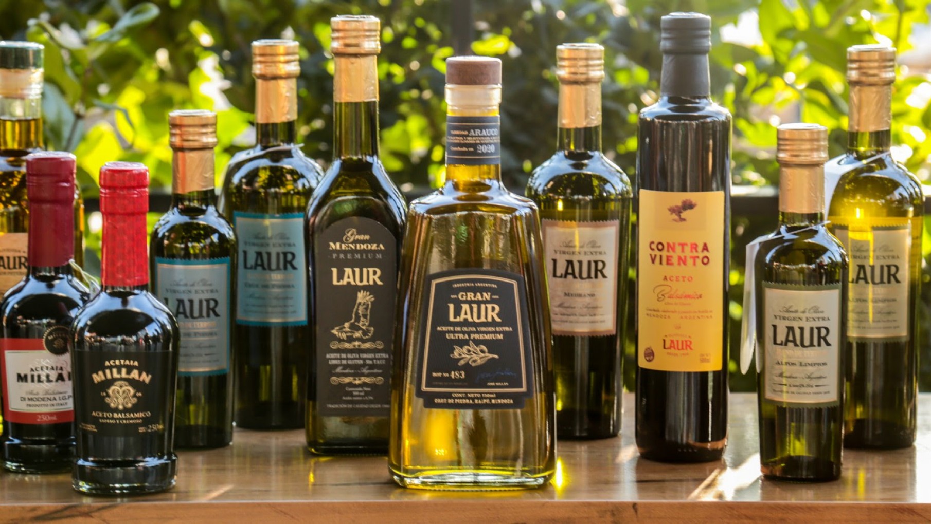 Laur, la olivícola número 1 del mundo