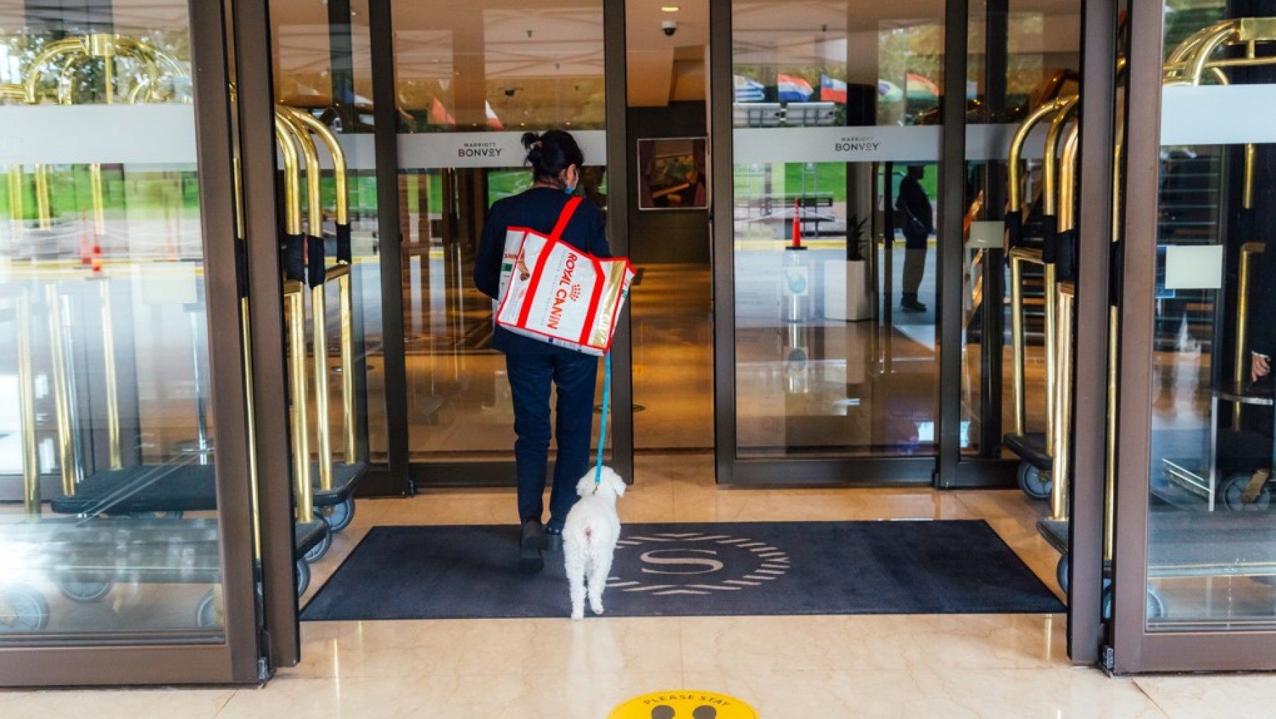 Sheraton Buenos Aires Lanza su Nuevo Programa PET FRIENDLY