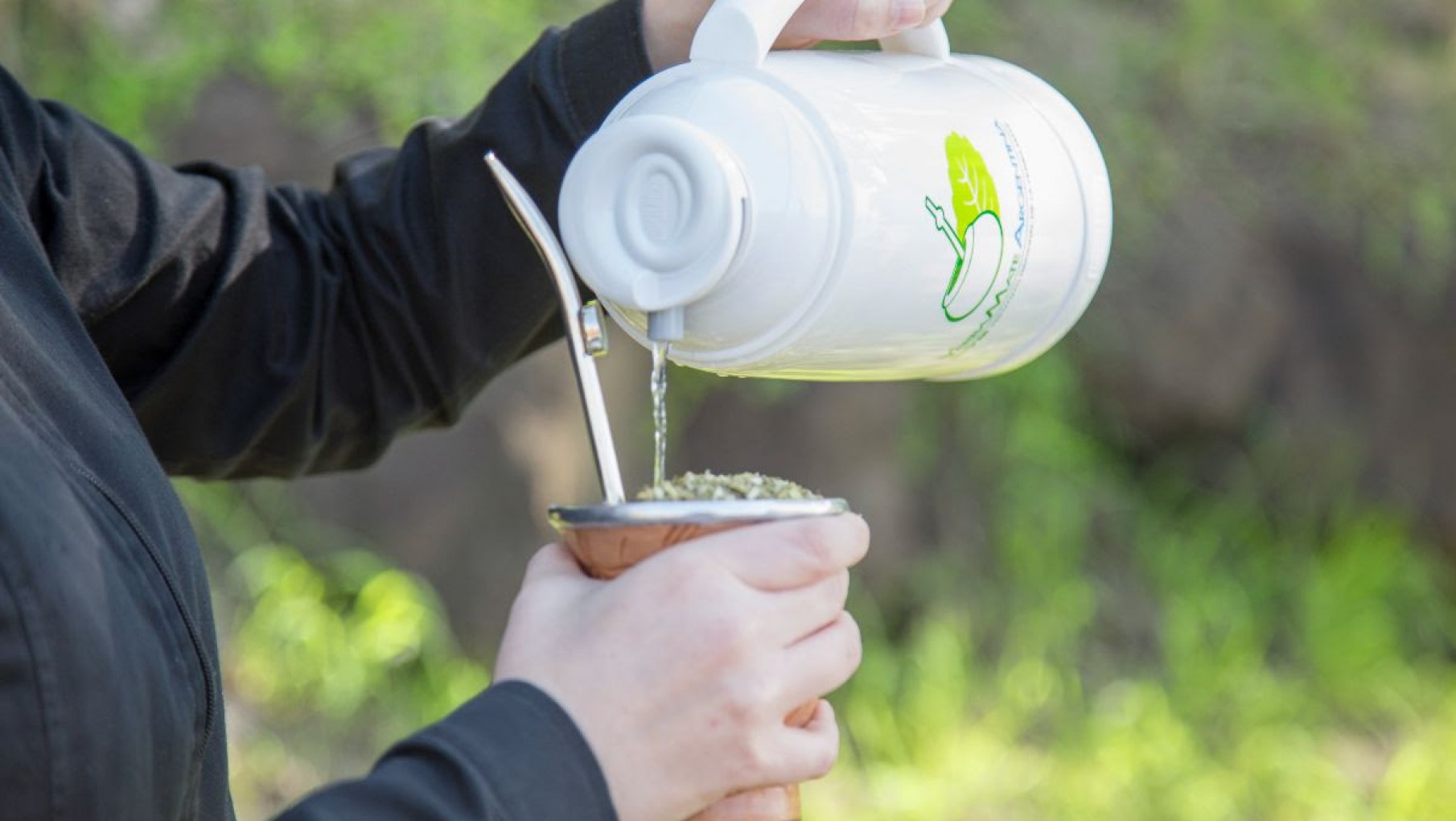 ARGENTINA, EL MAYOR PRODUCTOR Y EXPORTADOR DE YERBA MATE DEL MUNDO