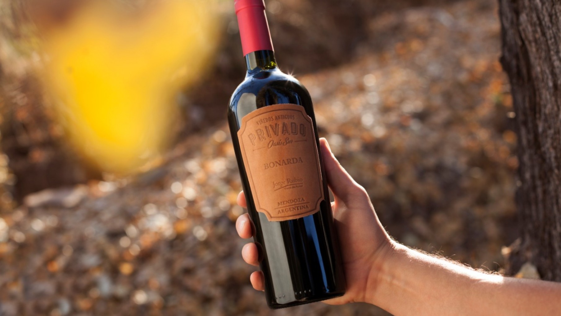 Bodega Jorge Rubio Celebra el día del Cabernet Franc