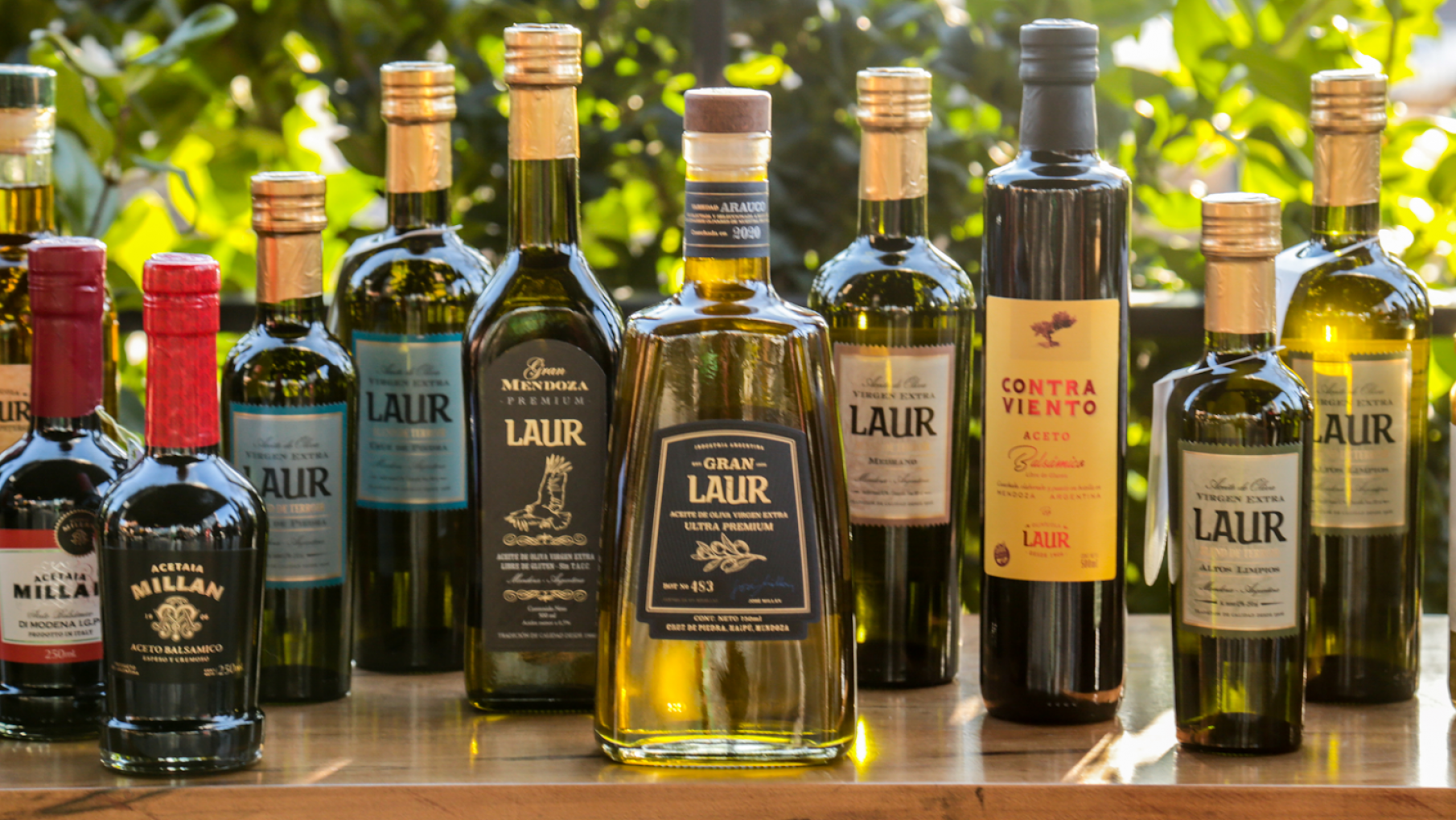 OLIVÍCOLA LAUR NUMERO 1 EN EUROPA.