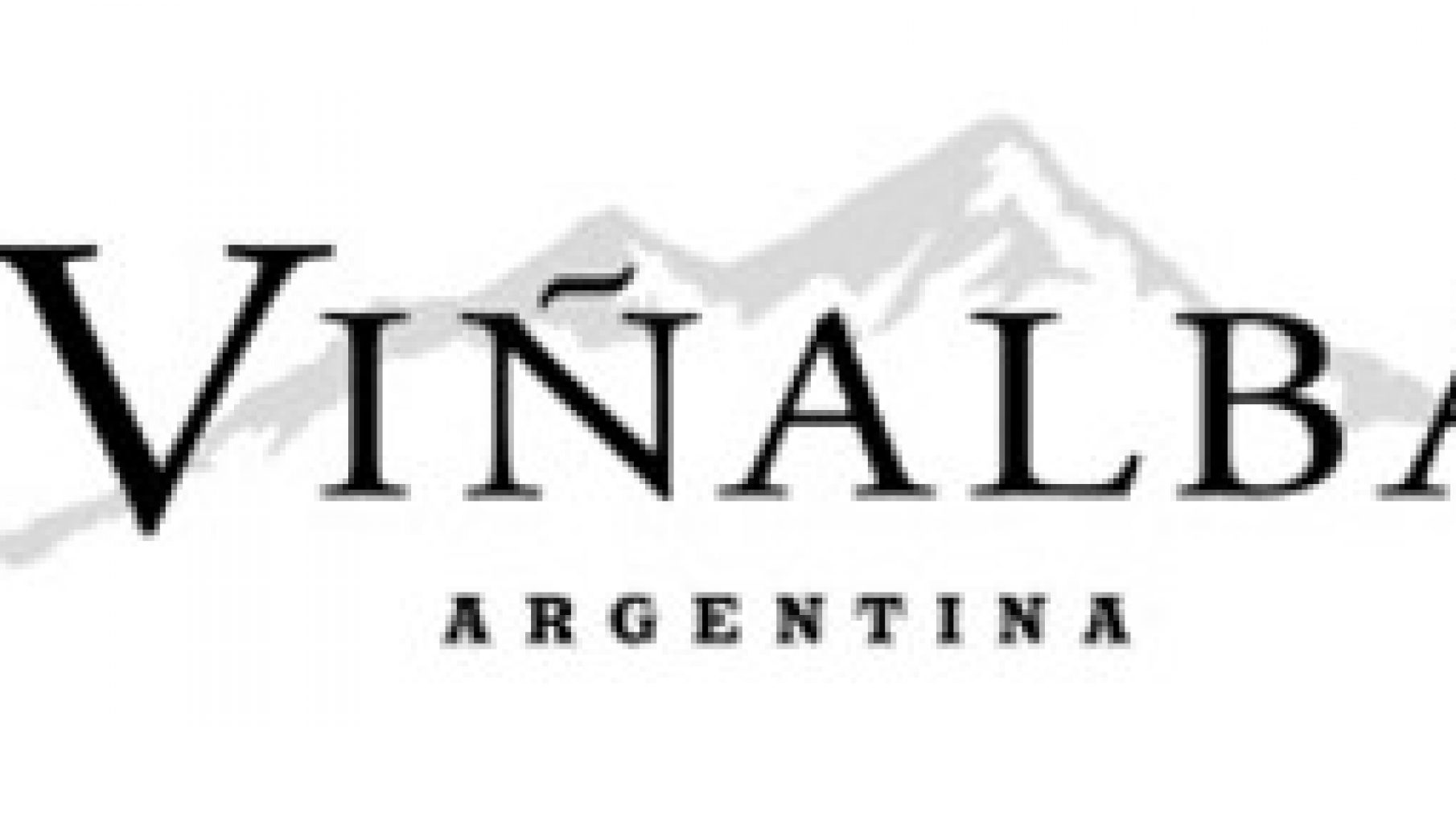 VIÑALBA, UN CABERNET CON TODO EL AVAL DE UN GRAN VINO.