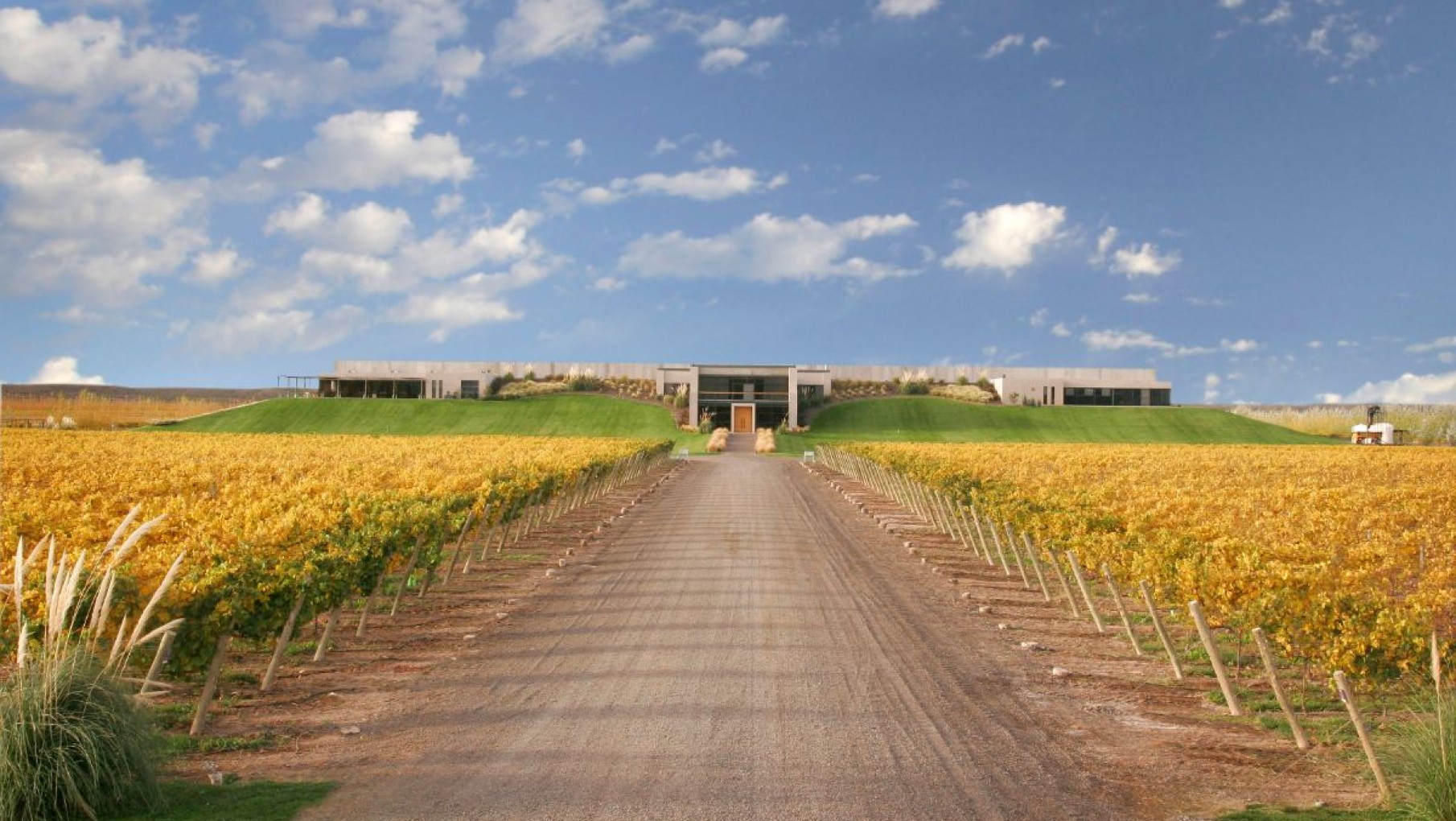 EN SU DIA, DOS PINOT NOIR DEL FRÍO.