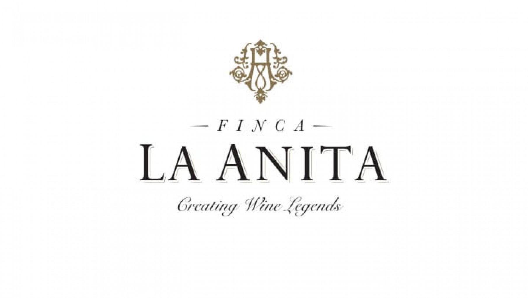 3 OPCIONES DE LA ANITA EN EL DIA DEL CABERNET.