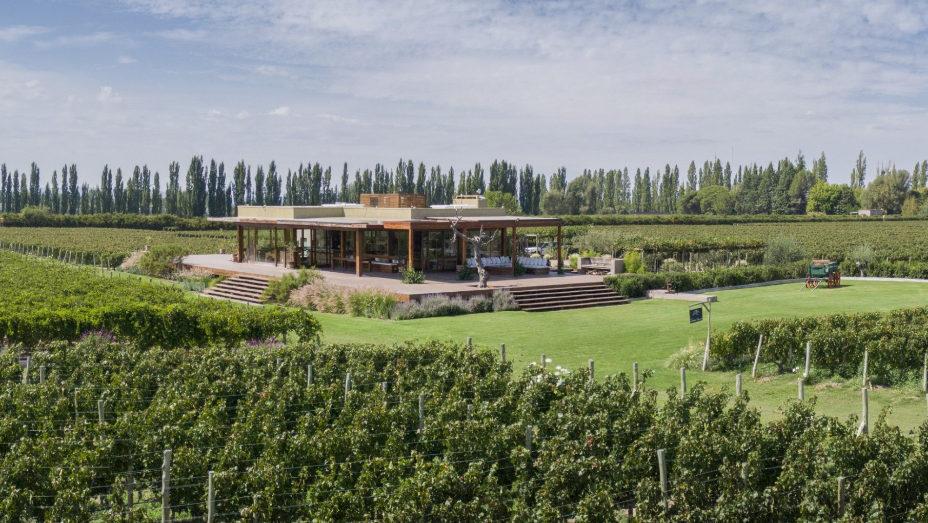 CHEVAL DES ANDES 2020, LA SUPREMACÍA DE UN VINO.