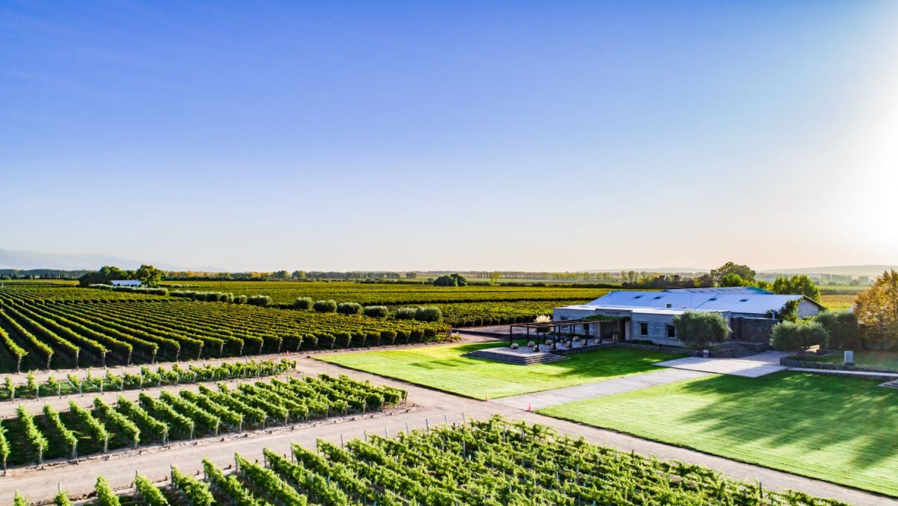 DOS BELLOS ROSADOS, POR DONDE SE LOS MIRE.