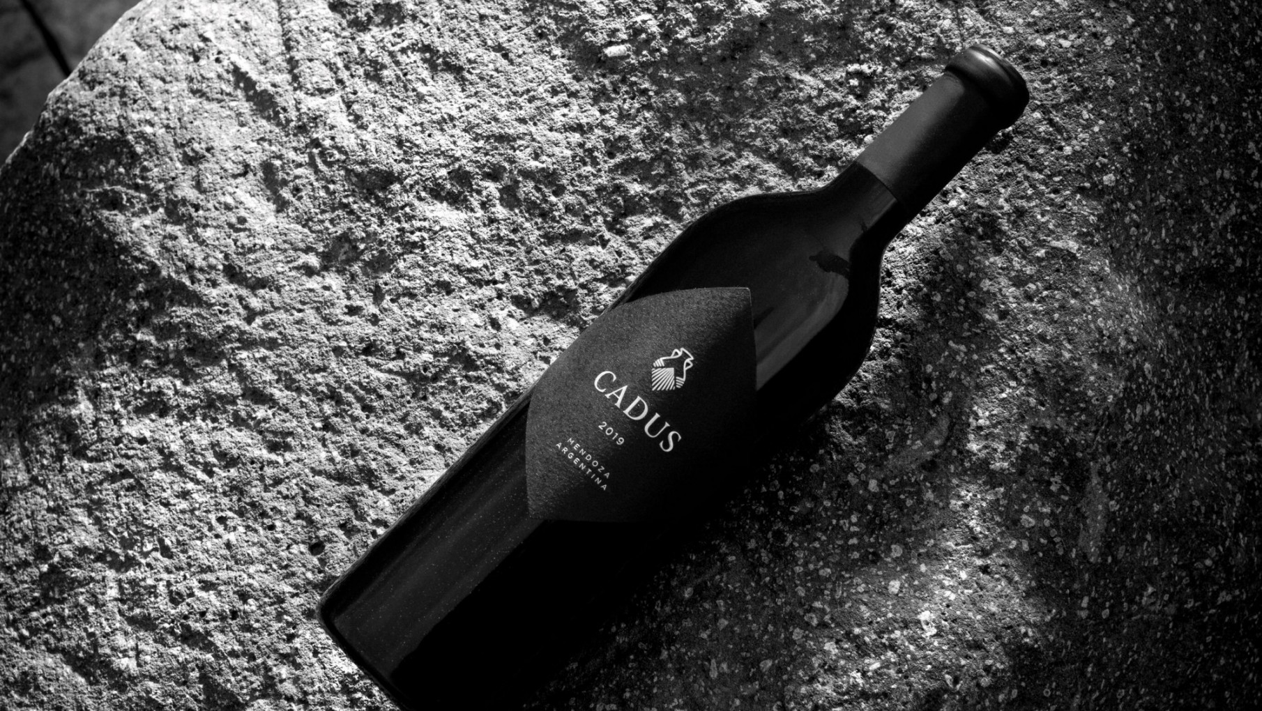 JAMES SUCKLING OTORGA 96 PUNTOS AL CADUS 2019