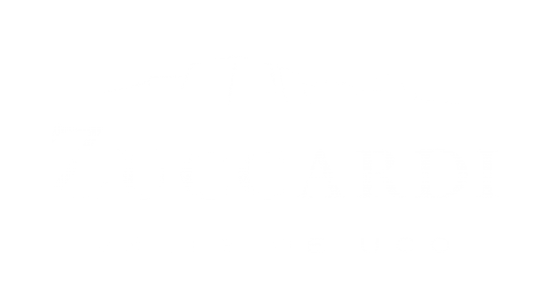 PIEDRA INFINITA COCINA, RECOMENDADA DE LA GUÍA MICHELIN