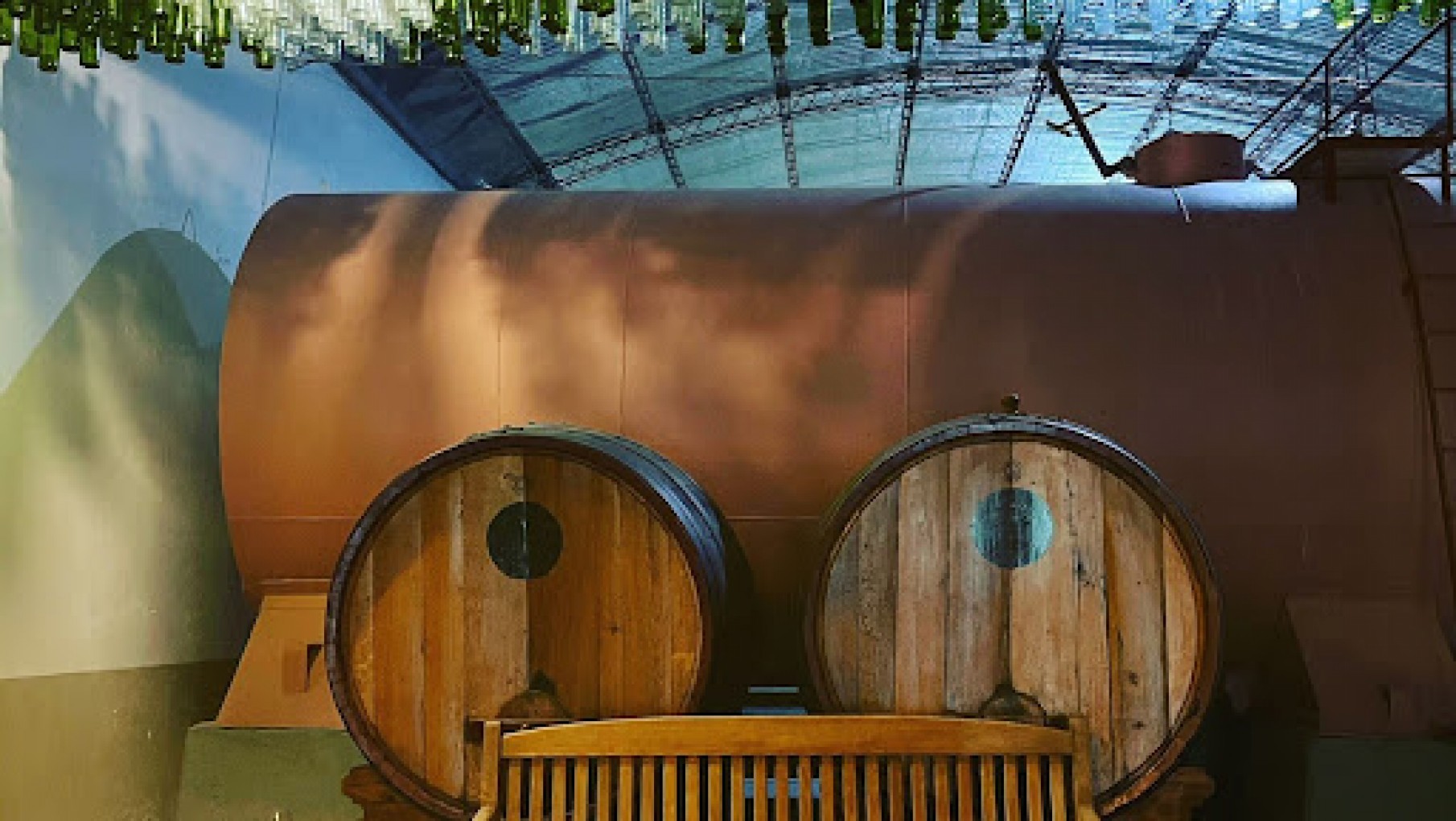 FIESTA PROVINCIAL DE LA VID