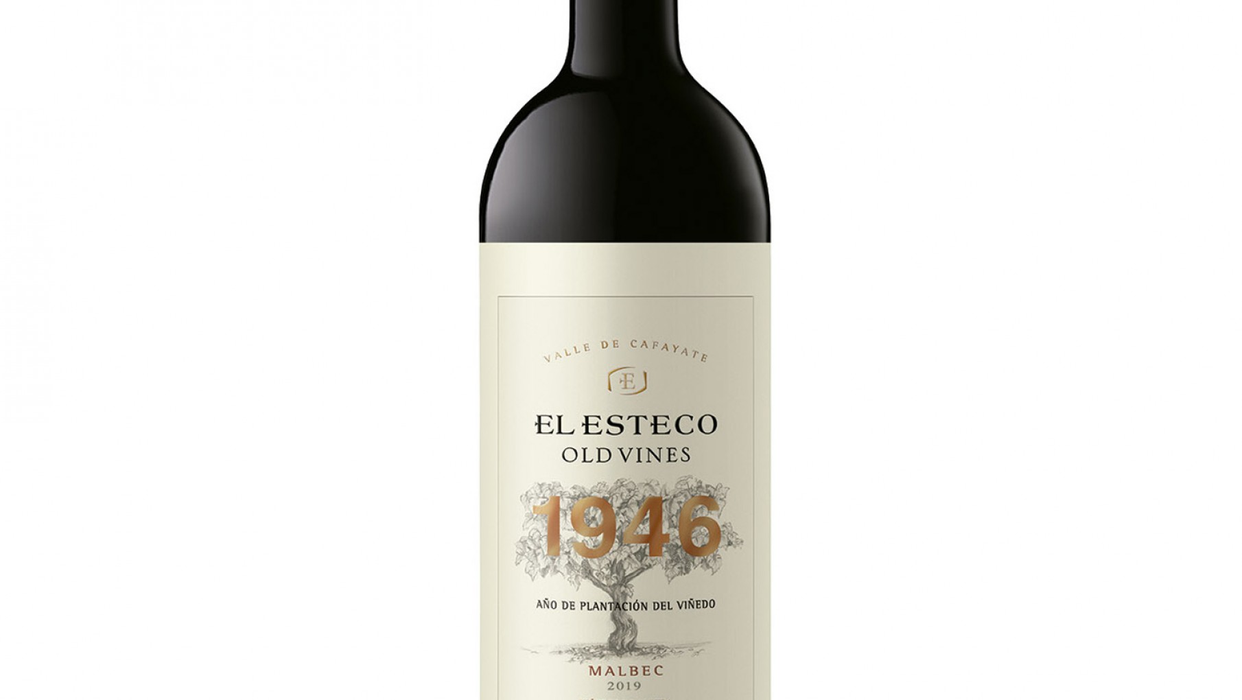 LOS MALBEC DEL NORTE, DISTINTOS Y MAJESTUOSOS.