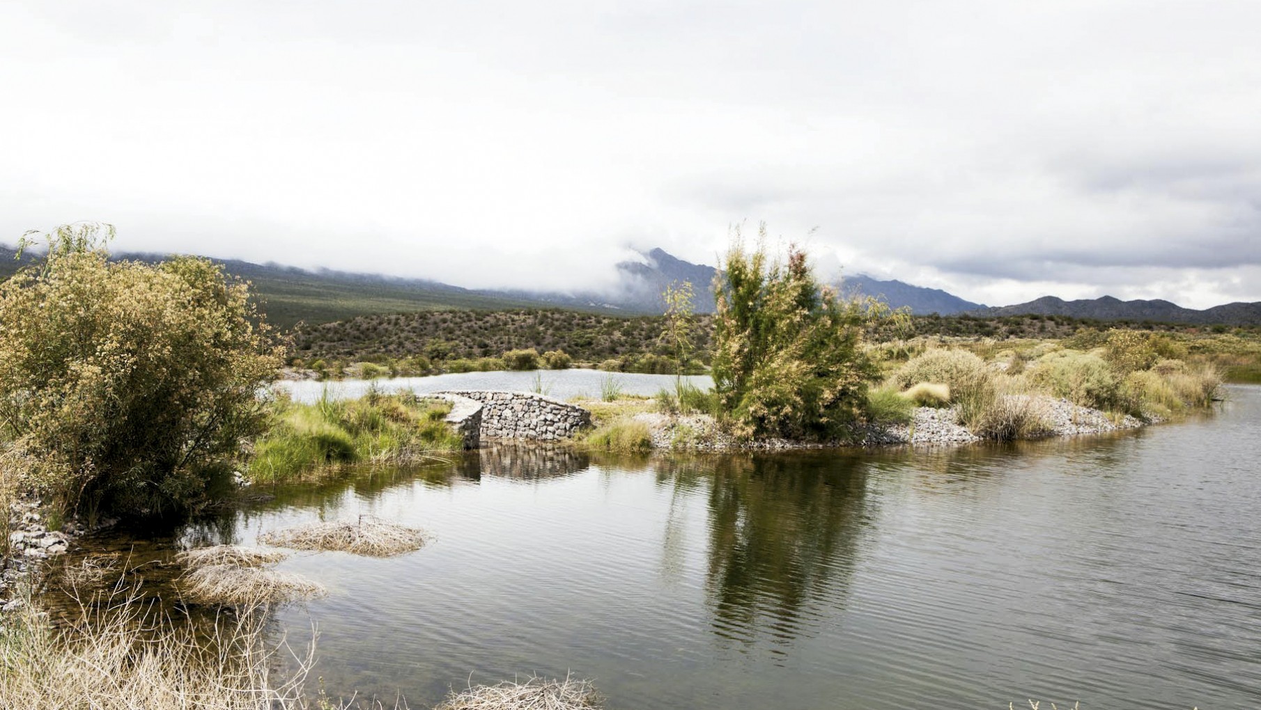 BODEGA XUMEK, LA CIENAGA Y UNA NUEVA IG.