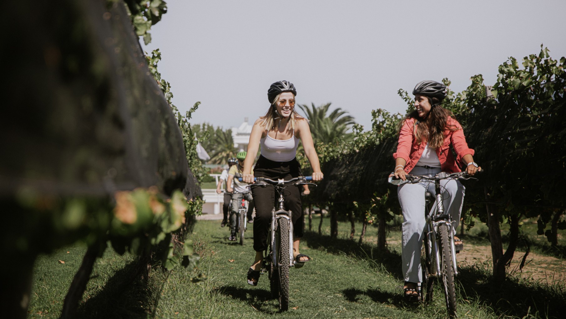 BIANCHI DISTINGUIDA POR TRIPADVISOR.