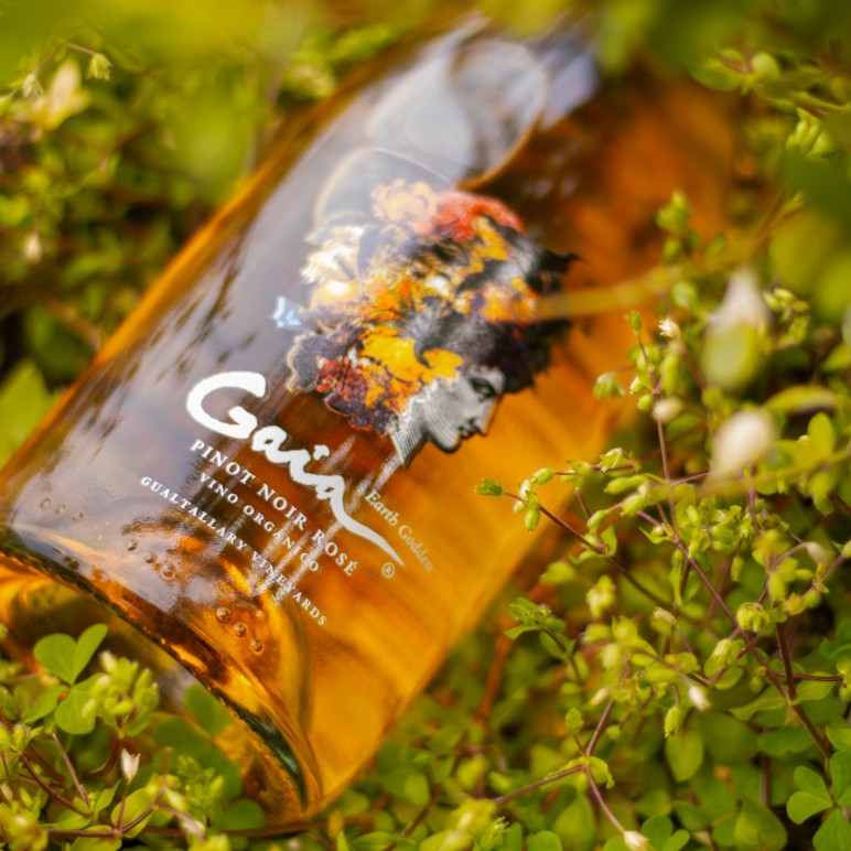 BELLO PINOT ROSÉ EL GAIA.