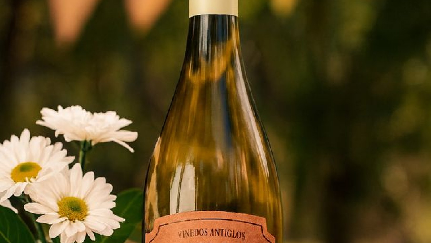 PRIVADO OASIS SUR Y SAUVIGNON BLANC , SU PRIMER GRAN BLANCO