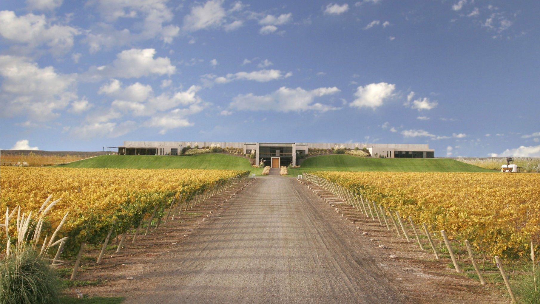 INTEMPERIE MALBEC ORGÁNICO, PURA PATAGONIA.