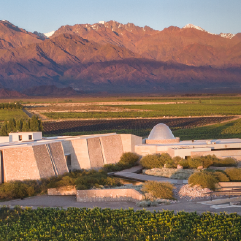 PIEDRA INFINITA Y JULIO BAEZ COMO NUEVO CHEF.