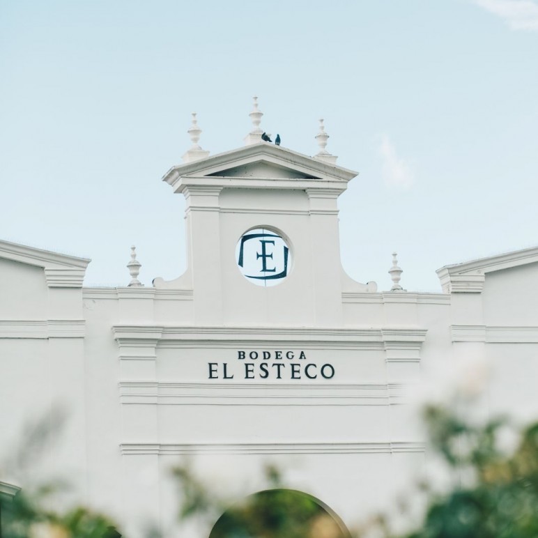 SIEMPRE BUENO UN NUEVO PINOT, EN ESTE CASO, DE EL ESTECO.