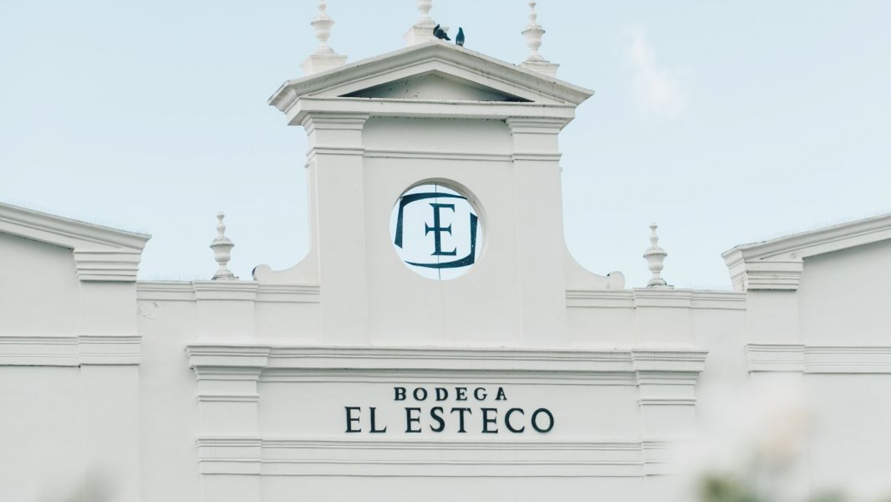 SIEMPRE BUENO UN NUEVO PINOT, EN ESTE CASO, DE EL ESTECO.