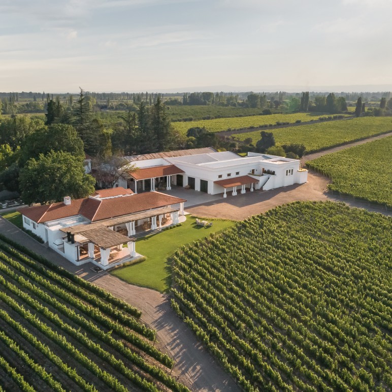 NIETO SENETINER, MALBEC BIEN ARGENTINO.